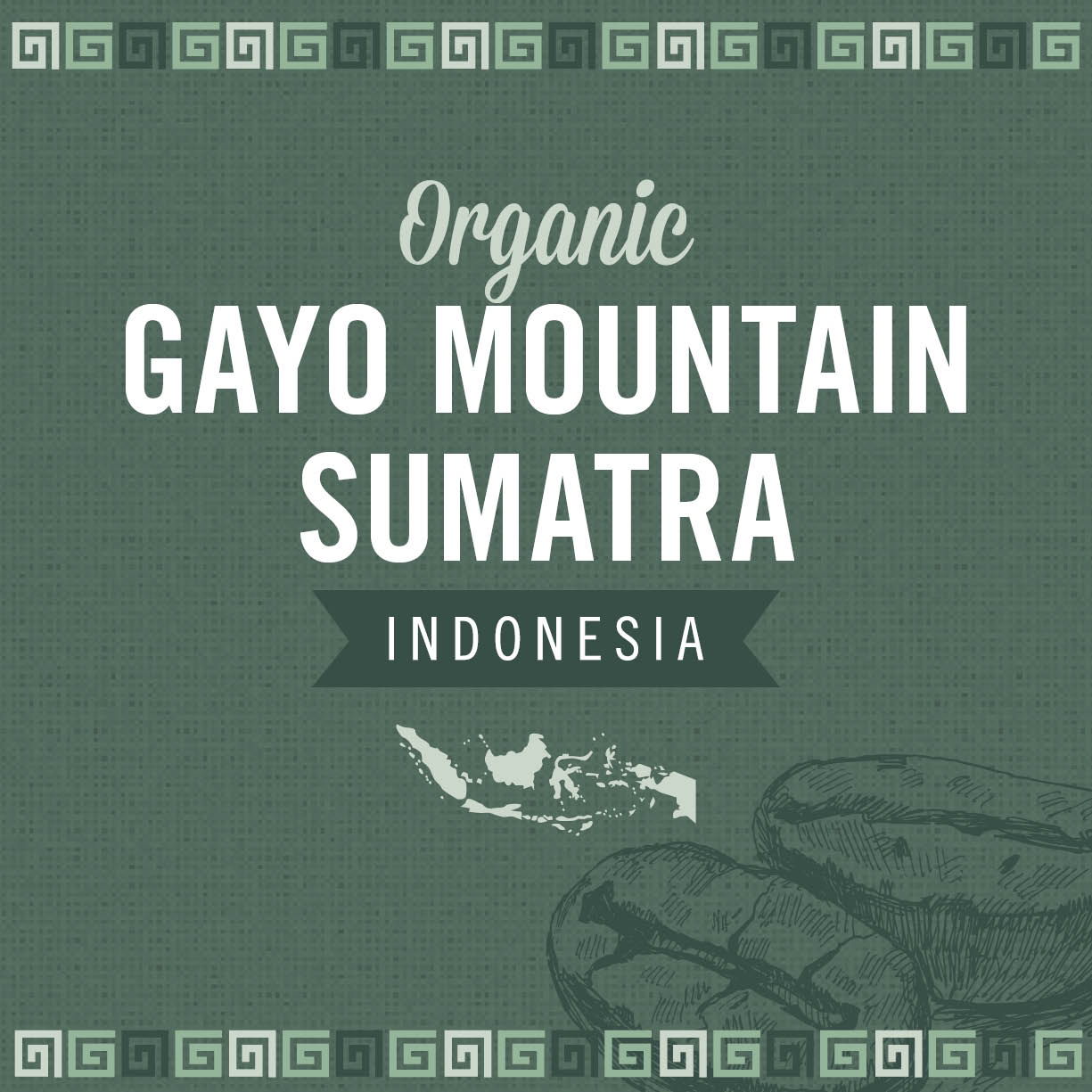 sumatra gayo coffee