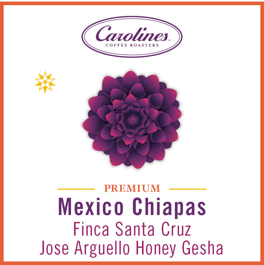 Mexico Chiapas Finca Santa Cruz Jose Arguello Honey Gesha